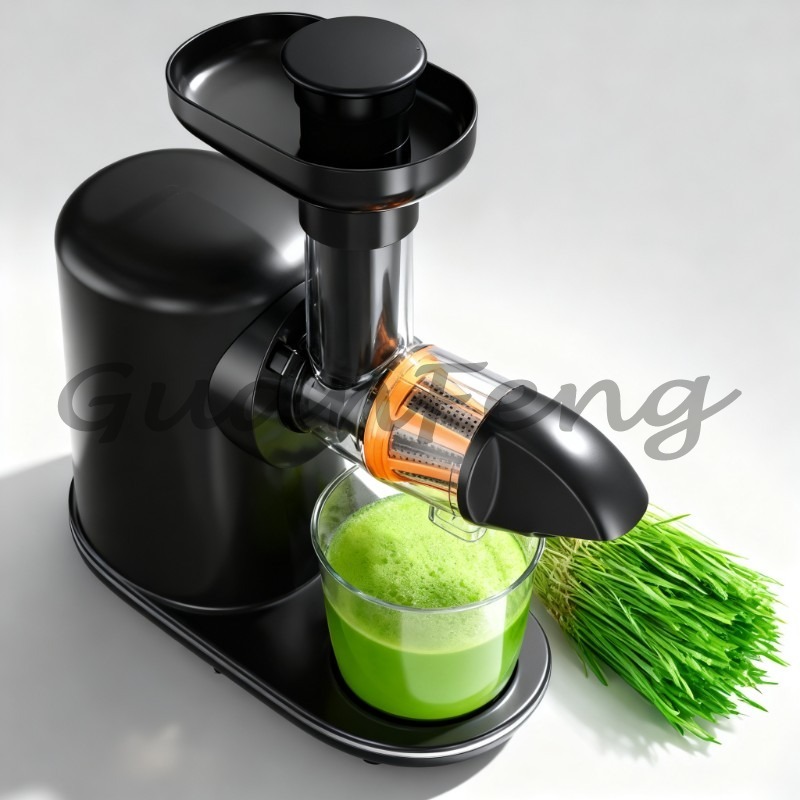 Cold Press Slow Juicer Electri - Cold Press Juicer recension och pris