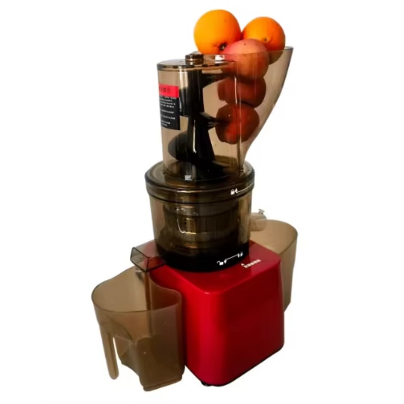 Stainless Steel Fruit Vegetabl - Cold Press Juicer recension och pris