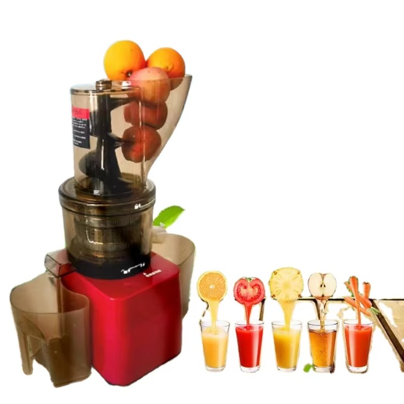 Stainless Steel Fruit Vegetabl - Cold Press Juicer recension och pris