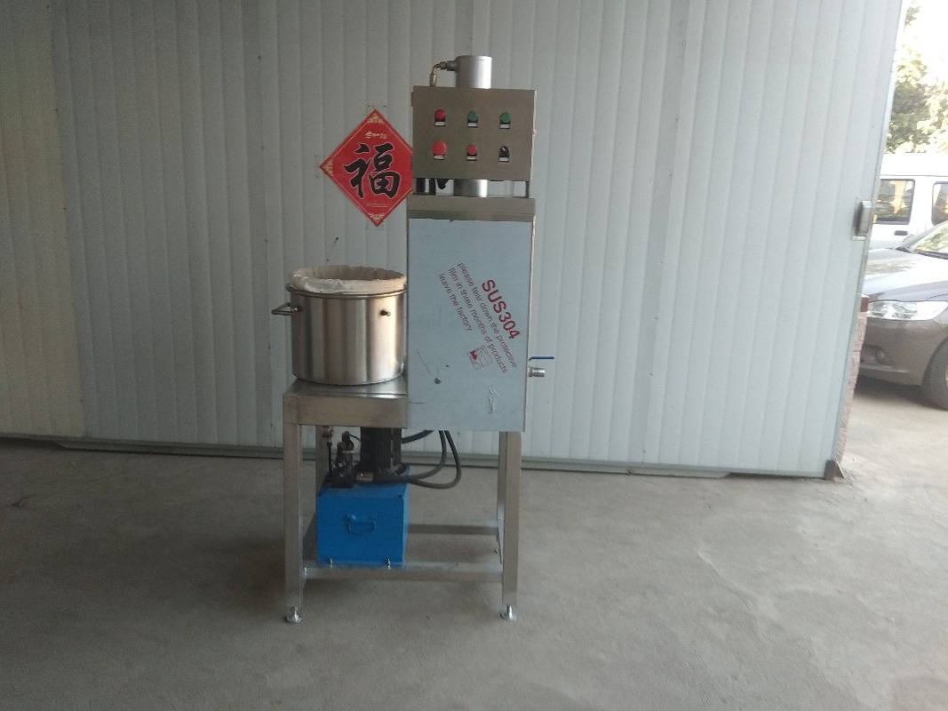 2026Industrial Automatic Grape - Cold Press Juicer recension och pris