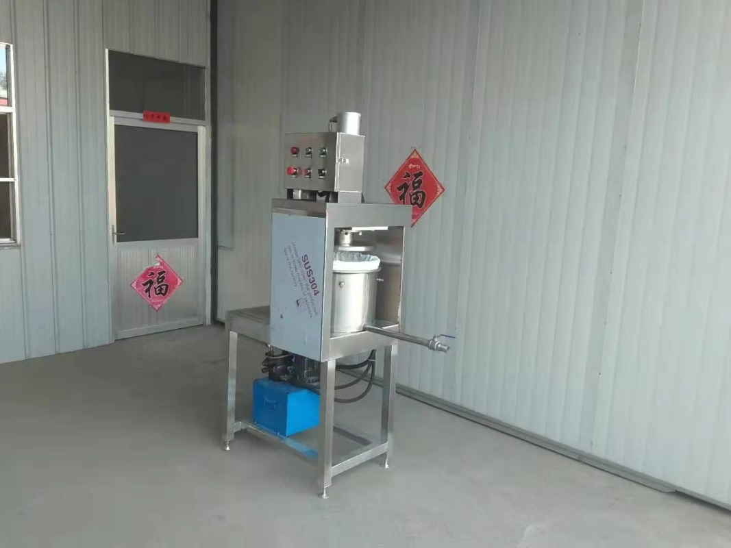 2026Industrial Automatic Grape - Cold Press Juicer recension och pris