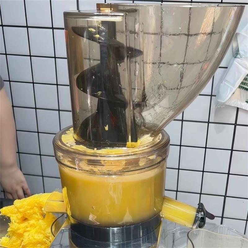 500W Commercial High Productiv - Cold Press Juicer recension och pris